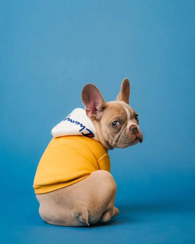 Luxury Coat Spa  by Iv San Bernard - Dog XL (>15-20)kg