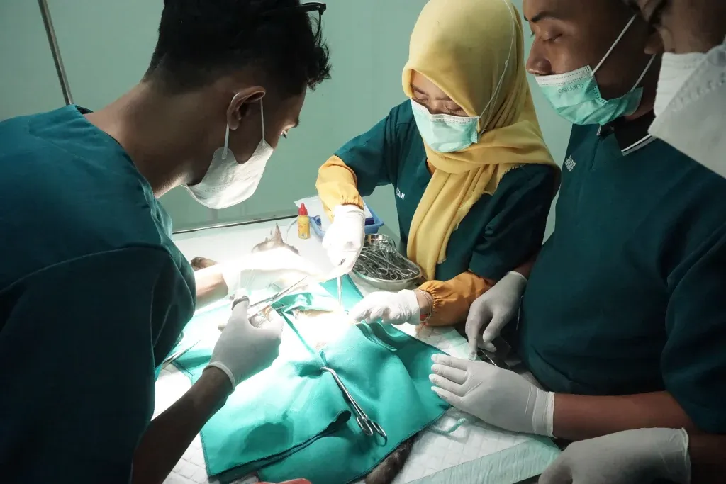 Ruang Operasi